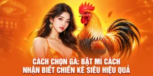 Cách Chọn Gà: Cách Nhận Biết Chiến Kê Hiệu Quả Cùng JW88 